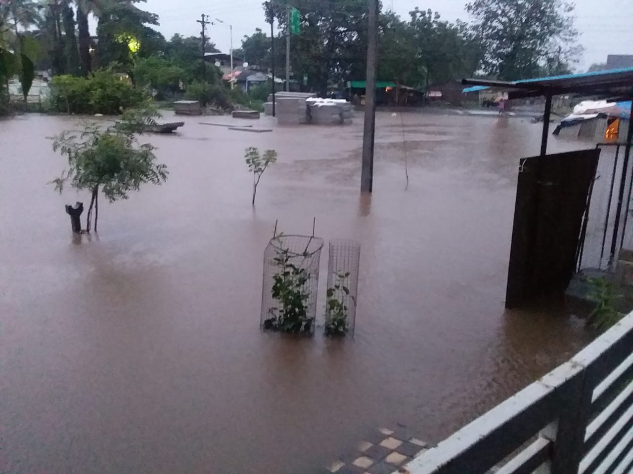 rainfall continues in nandurbar districts rivers are flooded