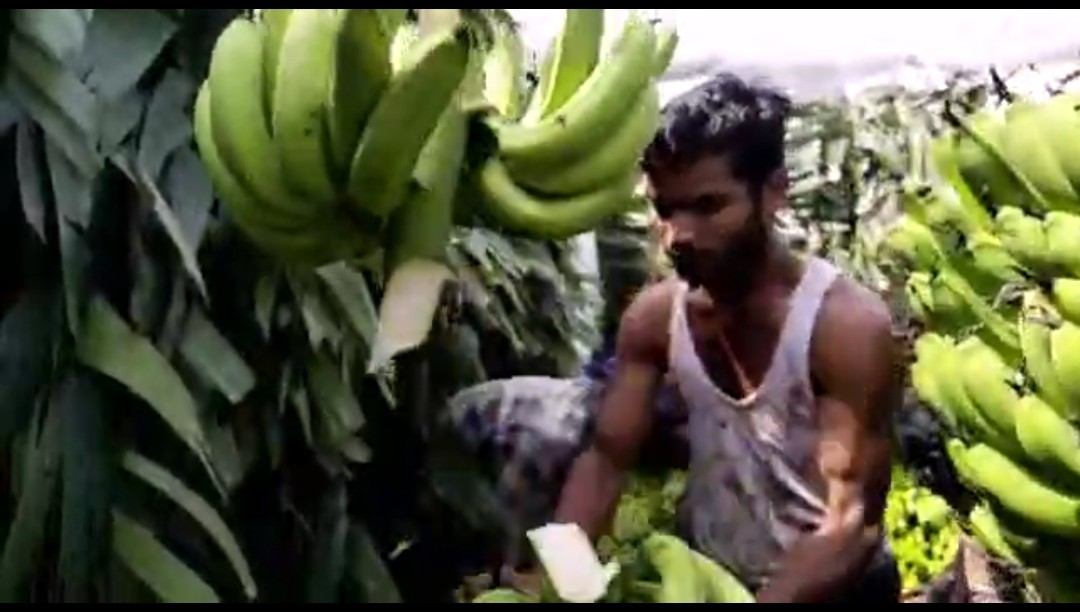 Ejaz working as a labourer