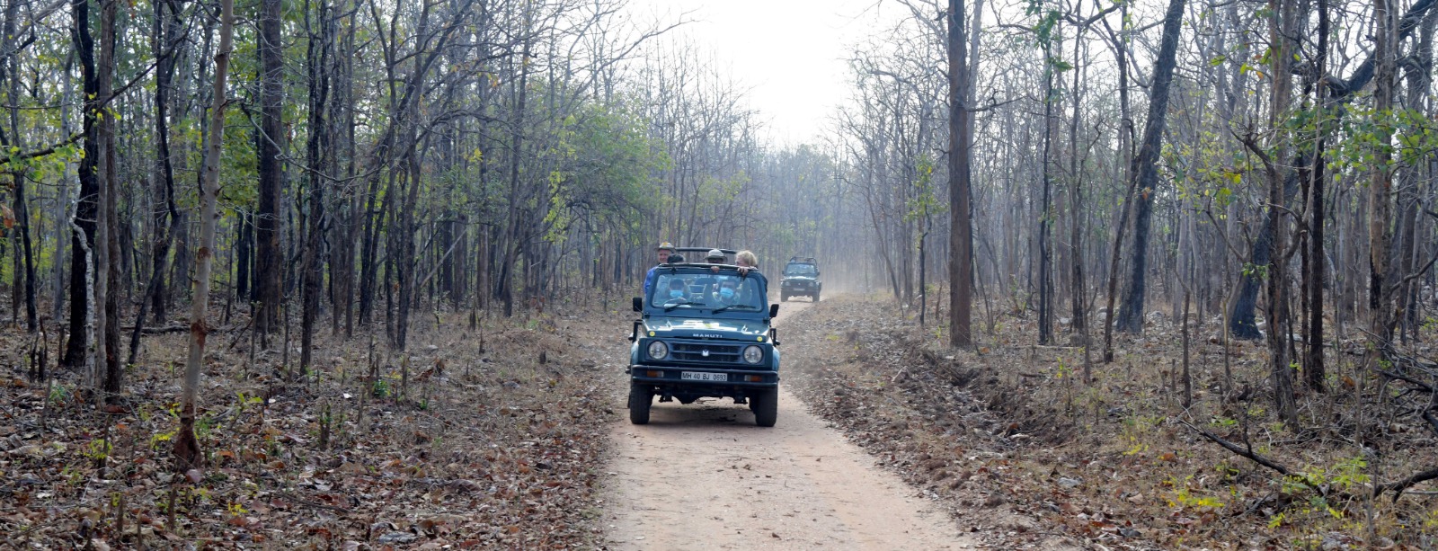 C-20 Delegates in India were Thrilled to See a Tiger at Pench Safari