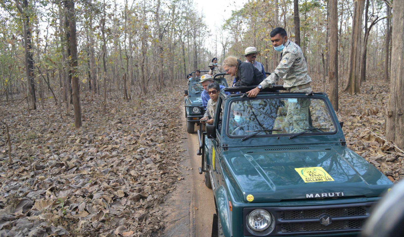 C-20 Delegates in India were Thrilled to See a Tiger at Pench Safari