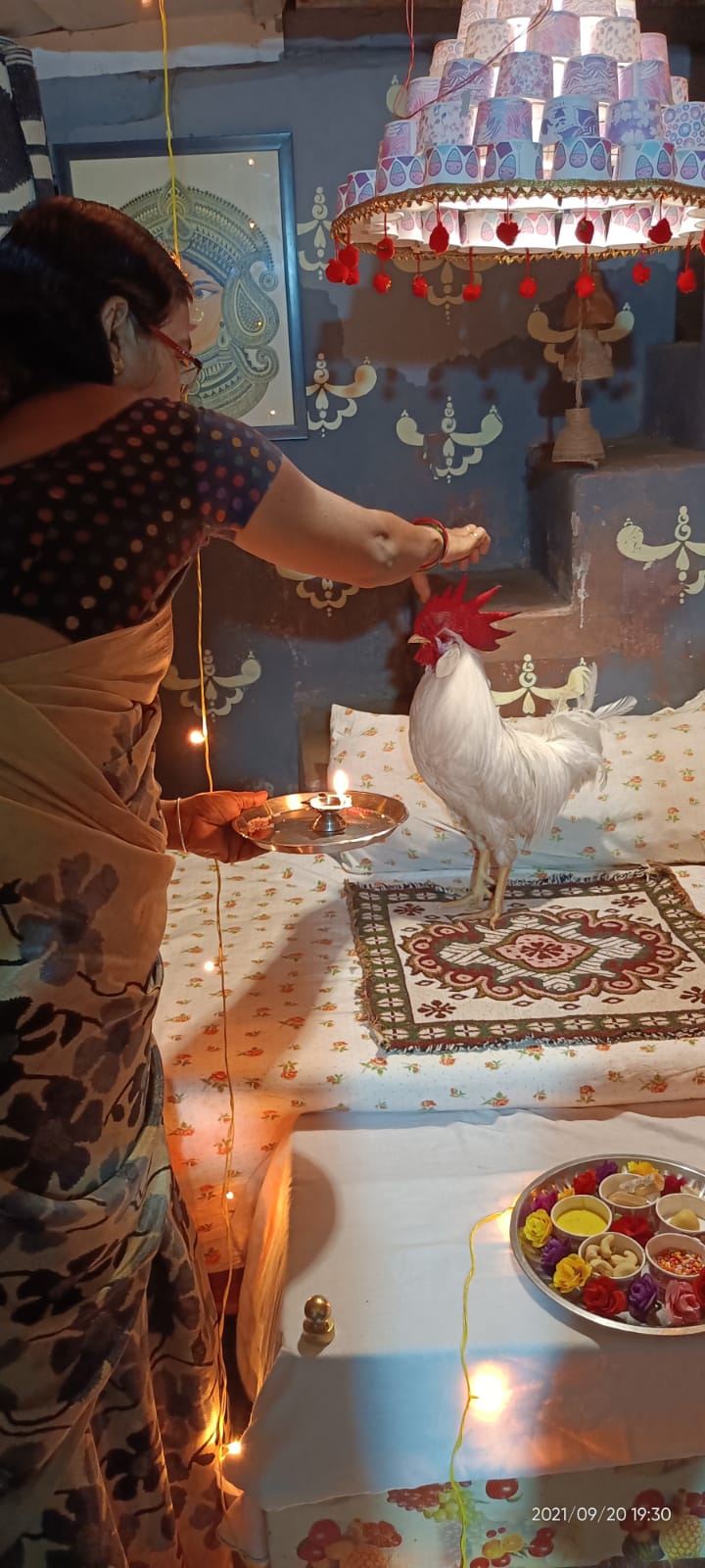 cock Birthday celebration