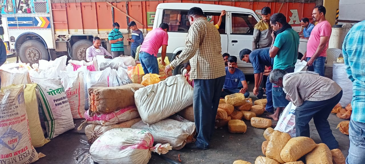 तब्बल 1 कोटीचा गांजा केला जप्त, नागपूर गुन्हे शाखेची माठी कारवाई