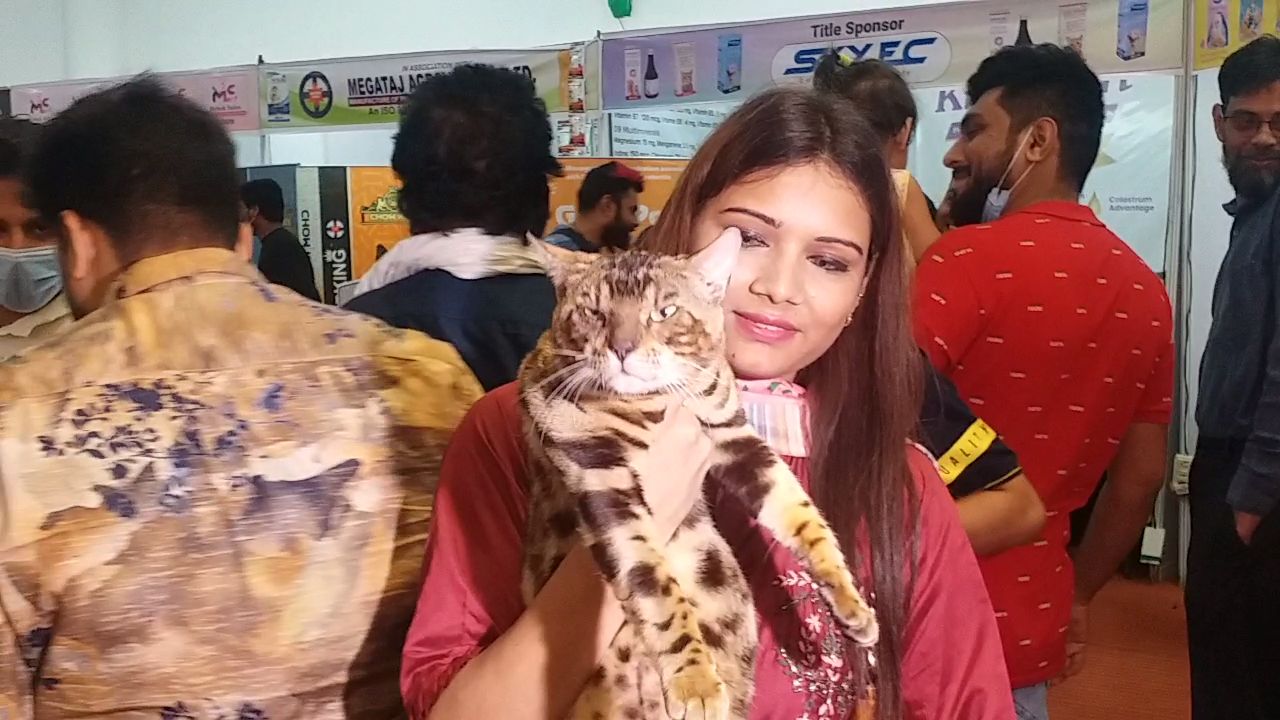 Cat Show in Nagpur