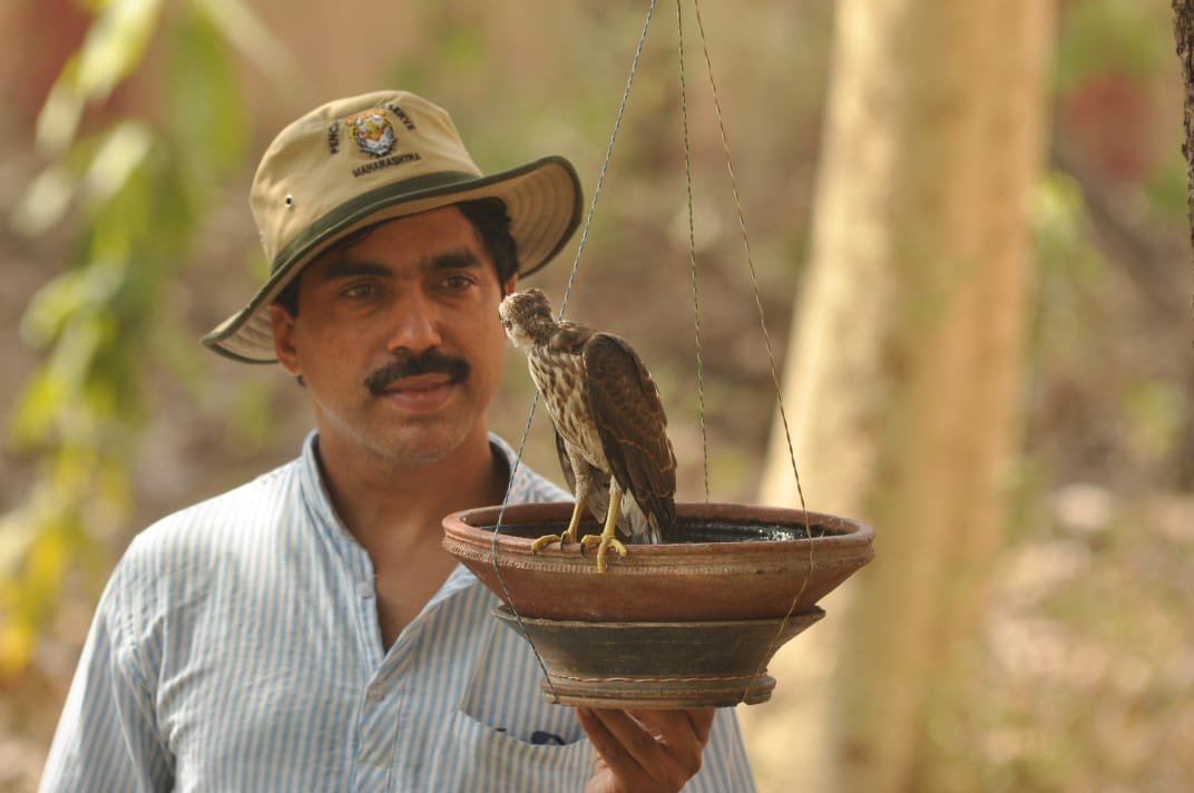 Mini Bird Sanctuary In Nagpur