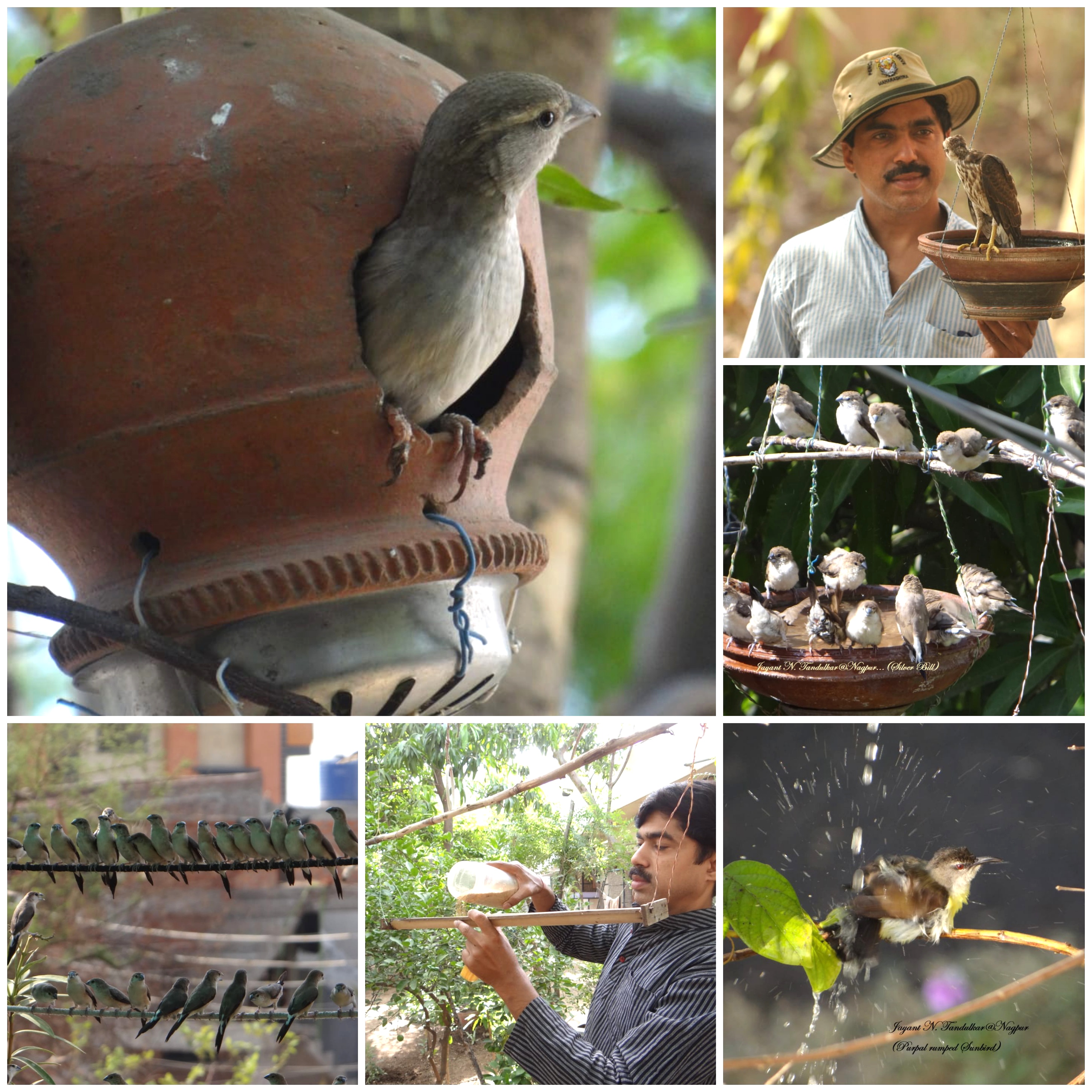 Mini Bird Sanctuary In Nagpur