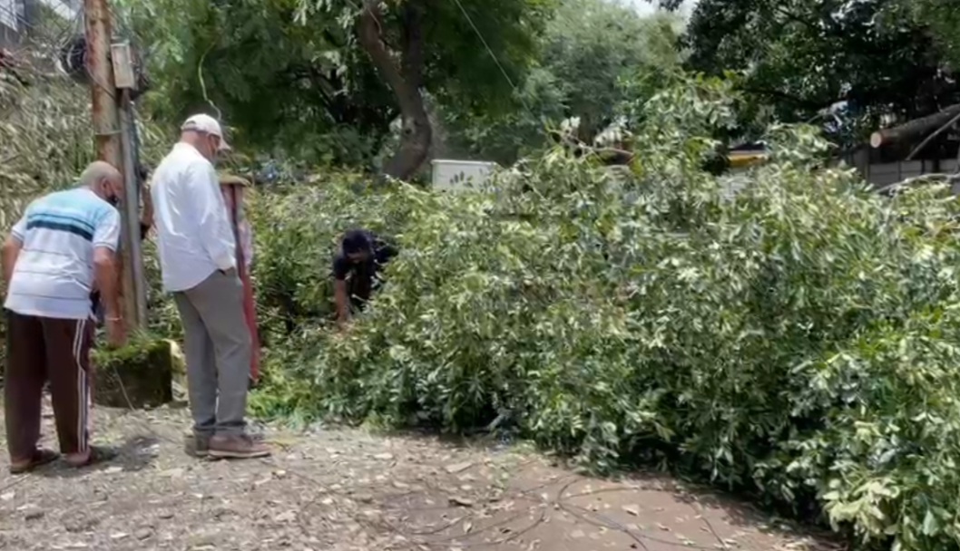 death of 18 herons