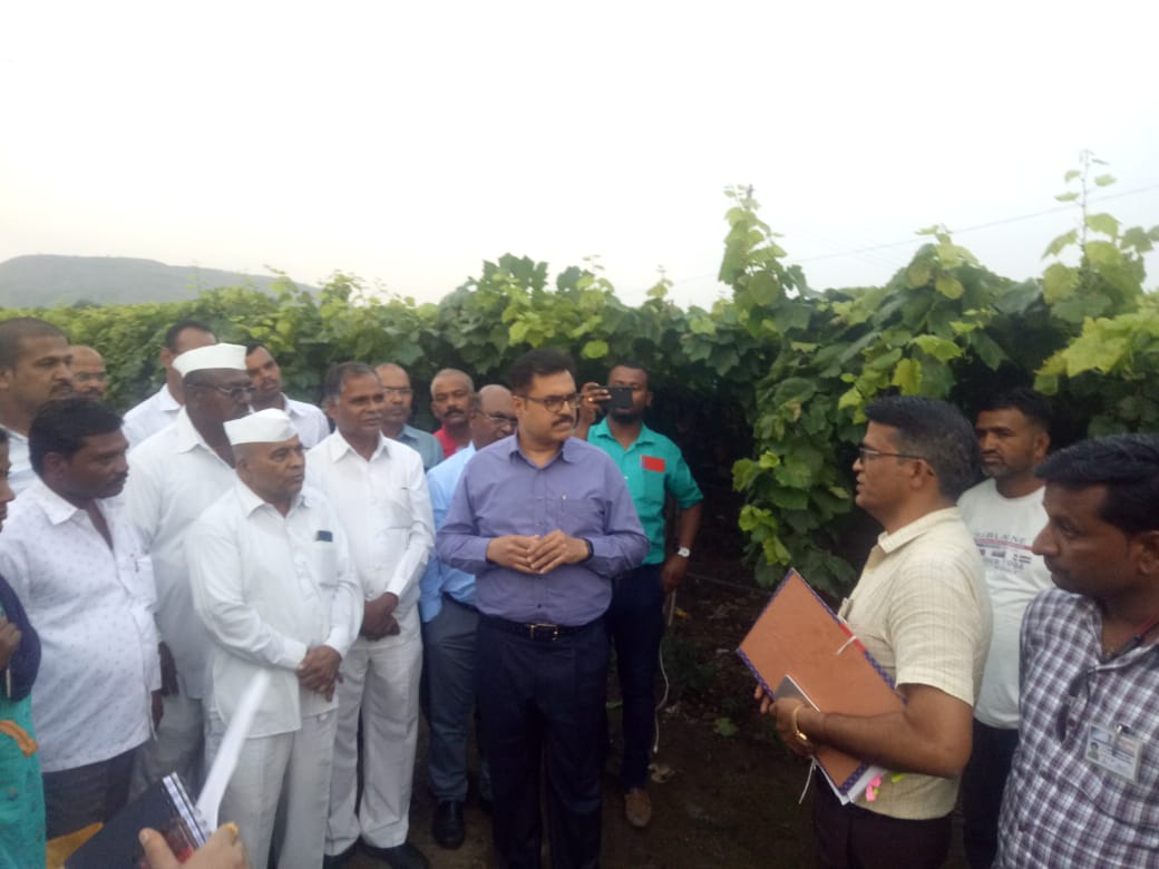 nashik district collector suraj mandhare give instruction to vima company