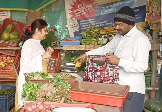 Prices of Leafy Vegetables Collapse in Nashik Market; Vegetables are Cheaper Than Animal Fodder