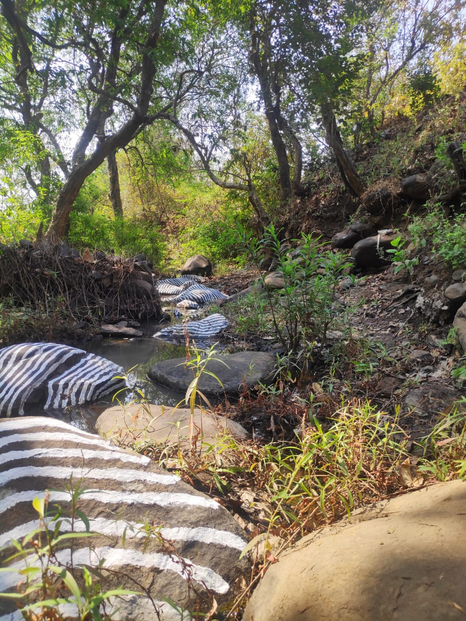 भू कलेचा अविष्कार