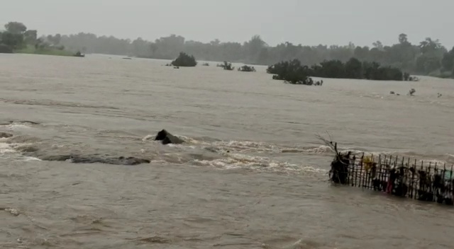 heavy rainfall in palghar