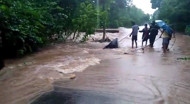 monsoon in palghar