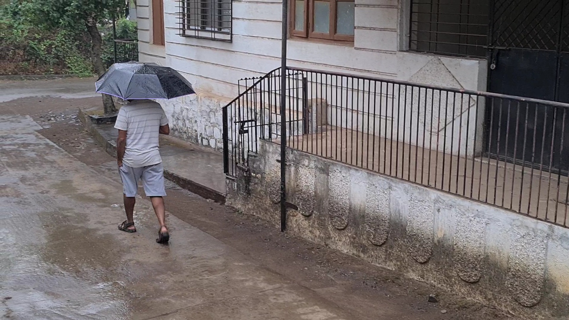 rain in palghar and surrounding areas