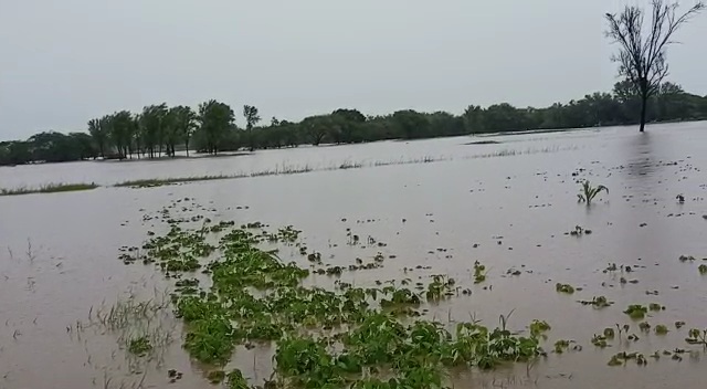 परभणीत रात्रभर धुवाधार