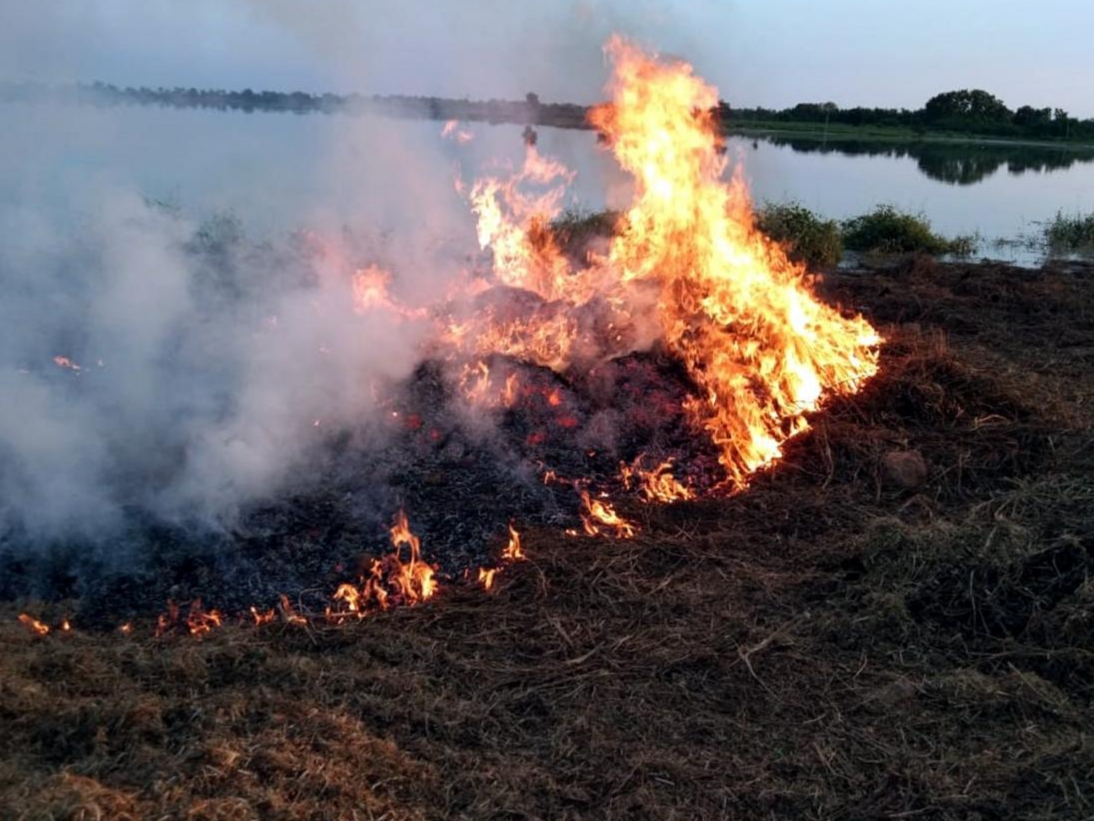 farmer burn harvested soybean crop in jintur