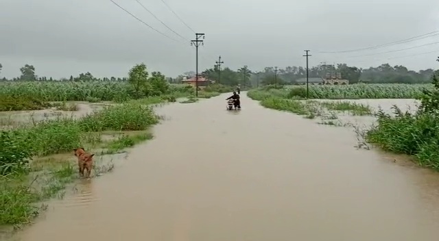 लोणावळ्यात मुसळधार पाऊस