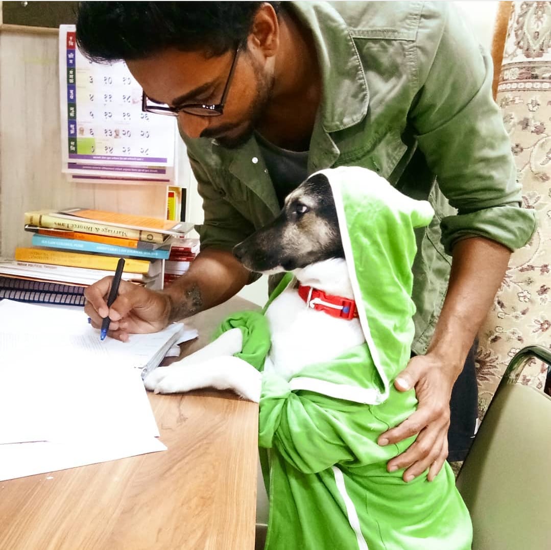 University students celebrated stray dog  University students celebrated stray dog in Maharashtra  University students celebrated stray dog in Pune  Dog Birthday celebration news  ವಿಶ್ವ ವಿದ್ಯಾಲಯದ ವಿದ್ಯಾರ್ಥಿಗಳಿಂದ ಬೀದಿ ಶ್ವಾನದ ಜನ್ಮದಿನ ಆಚರಣೆ  ಮಹಾರಾಷ್ಟ್ರದಲ್ಲಿ ಬೀದಿ ಶ್ವಾನದ ಜನ್ಮದಿನ ಆಚರಣೆ  ಬೀದಿ ನಾಯಿ ಜನ್ಮದಿನ ಆಚರಣೆ ಸುದ್ದಿ