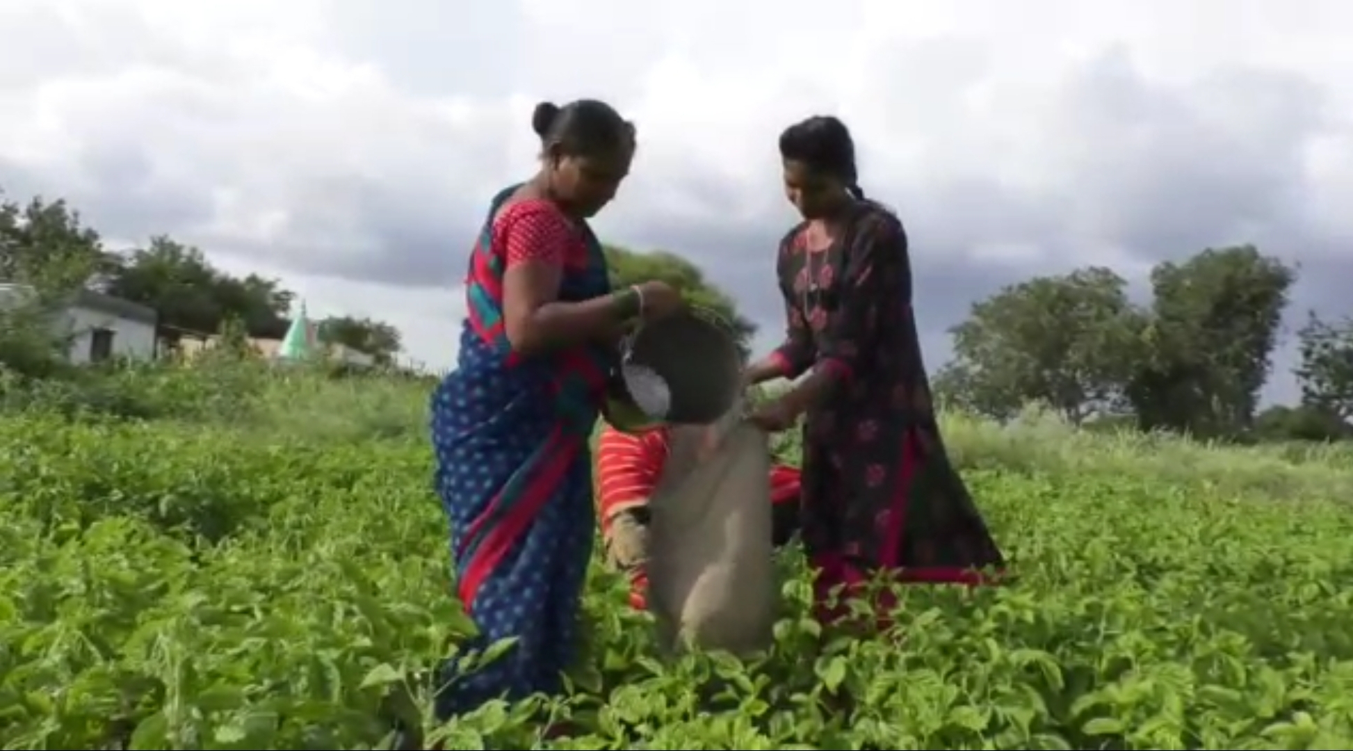 Farmers in crises