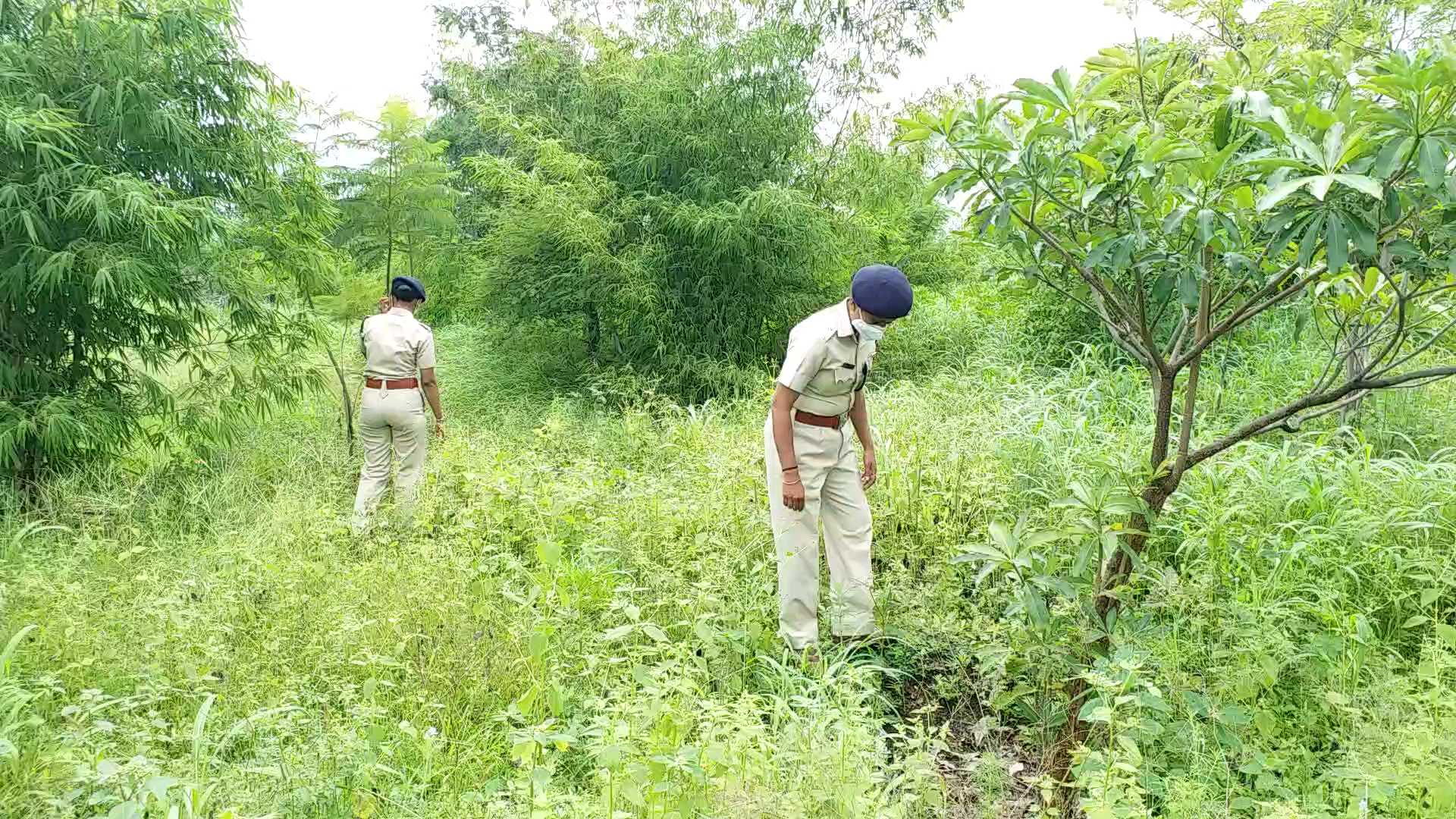 forest department of pune