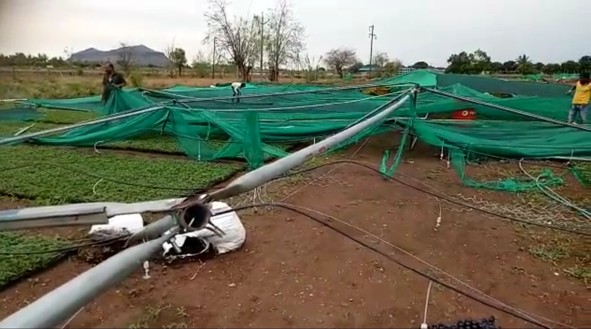 damage to nursery and nethouse due to` in pune