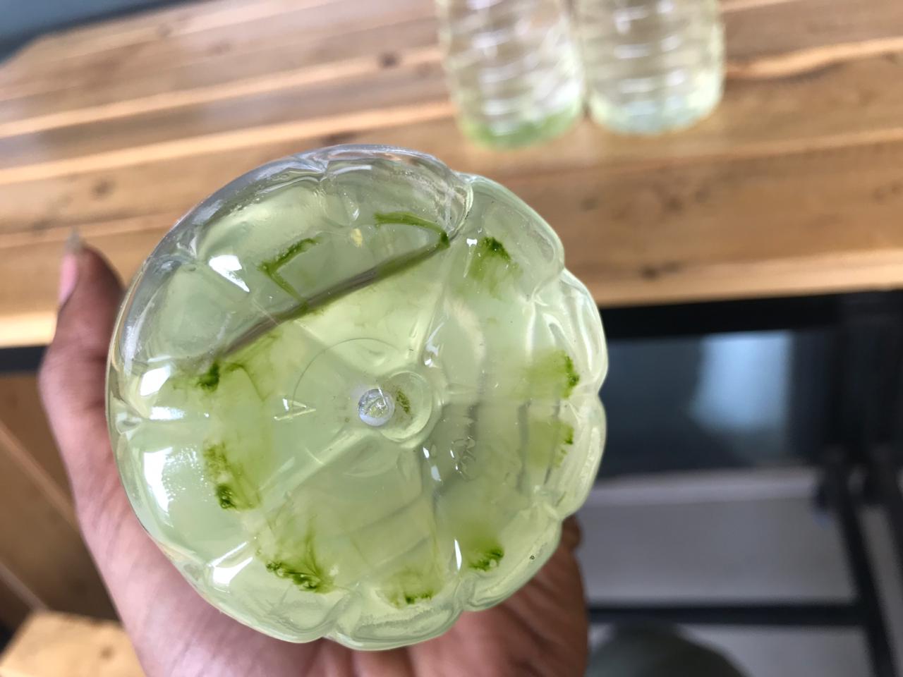 moss found in water bottle