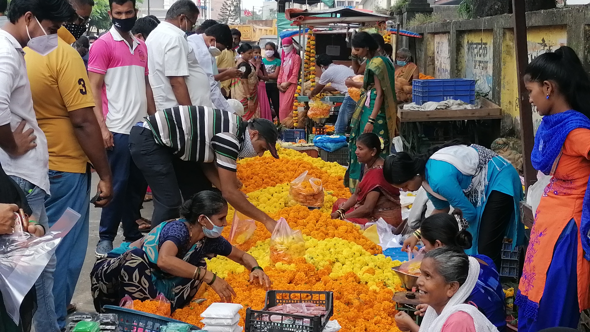 marigold-flower-prices-