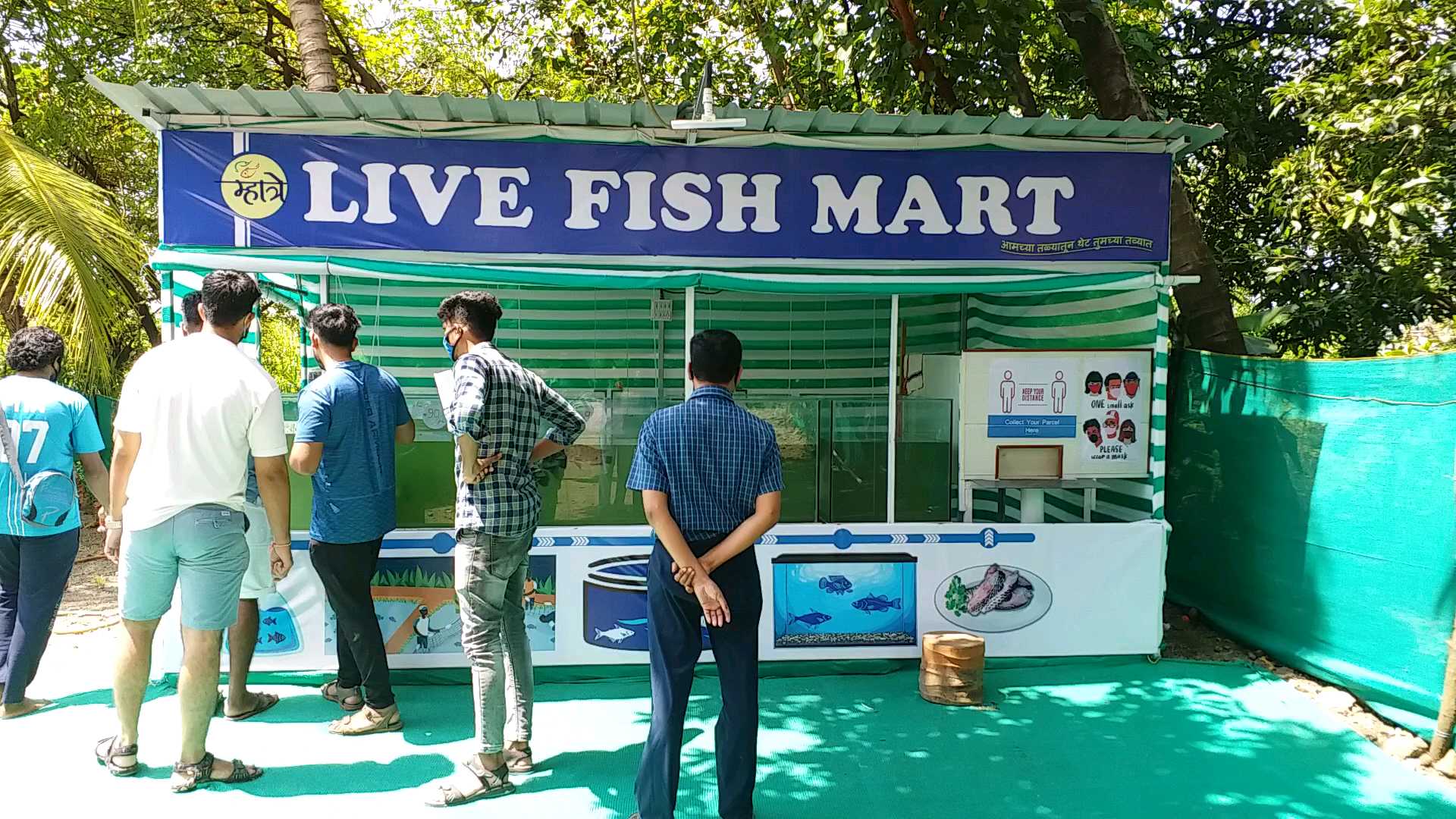 Highly educated youth quit their jobs and started fish farming in raigad