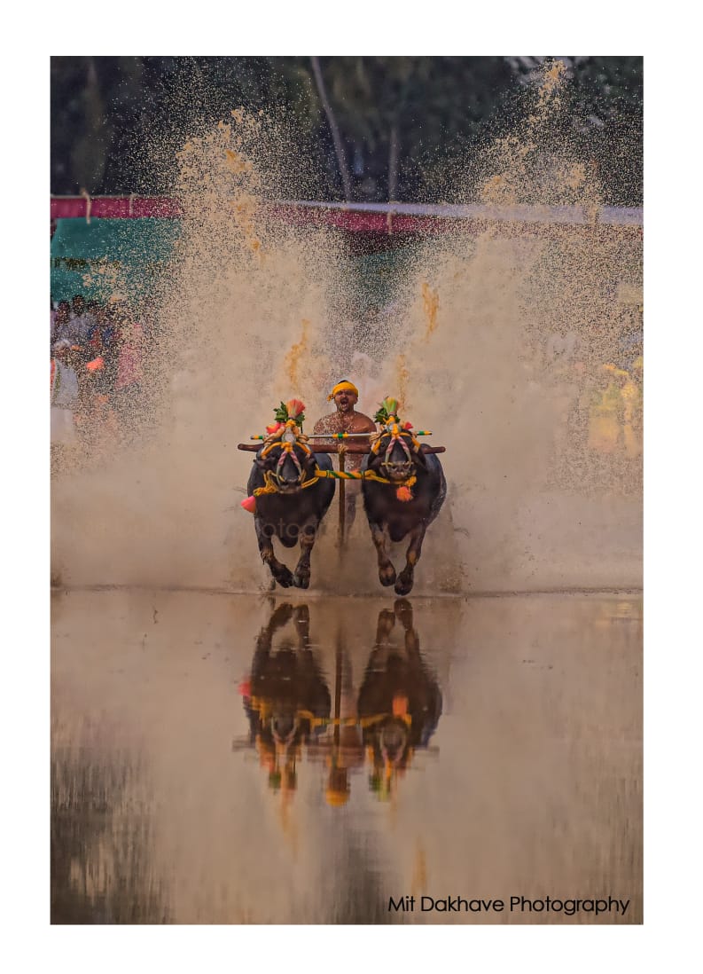 Mit Dakhve photography won third prize in the June 2020 competition digital magazine Cheese