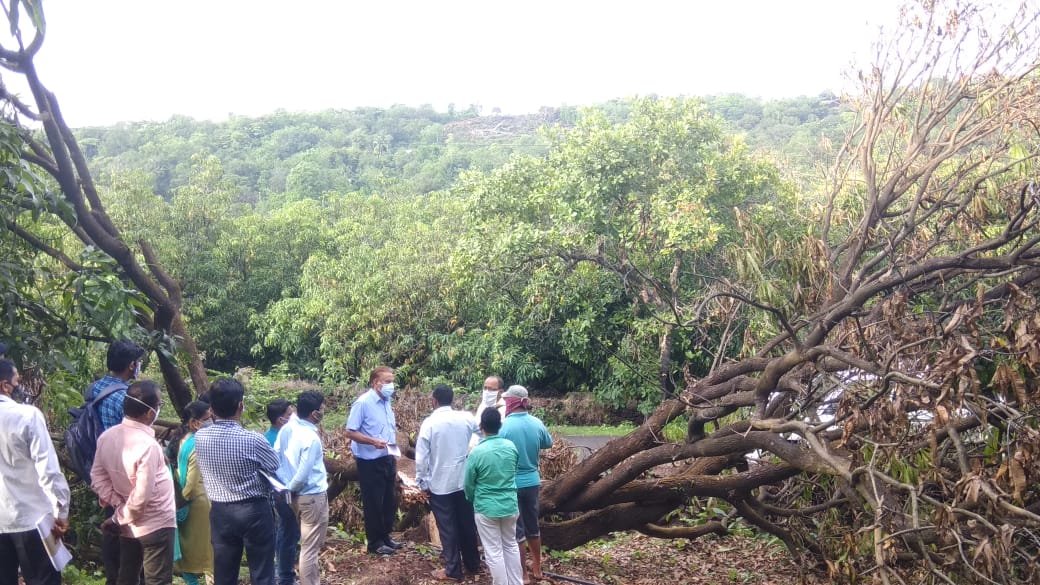 Central team inspects the damage caused by cyclone Tauktae in ratnagiri