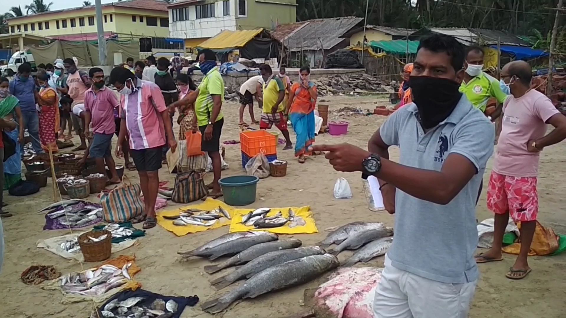 sindhudurg fishing news