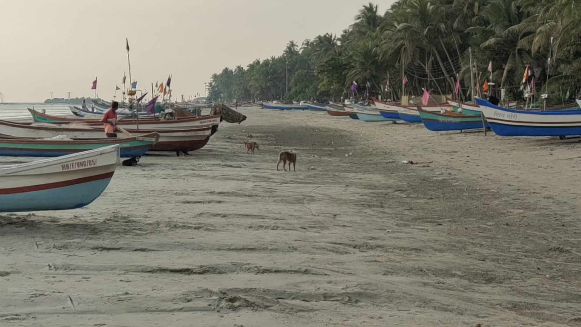 sindhudurg fishing news