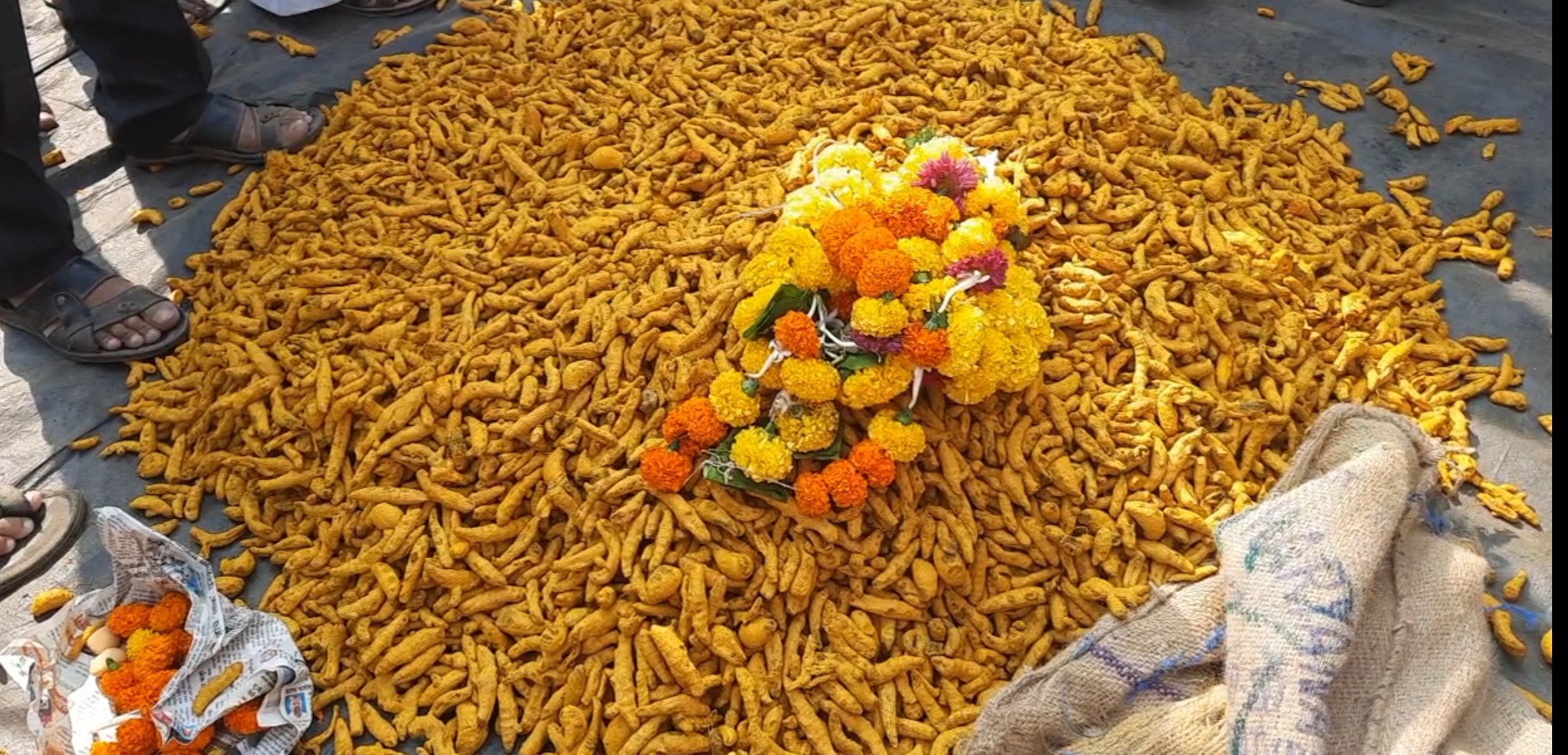 Turmeric market Sangli