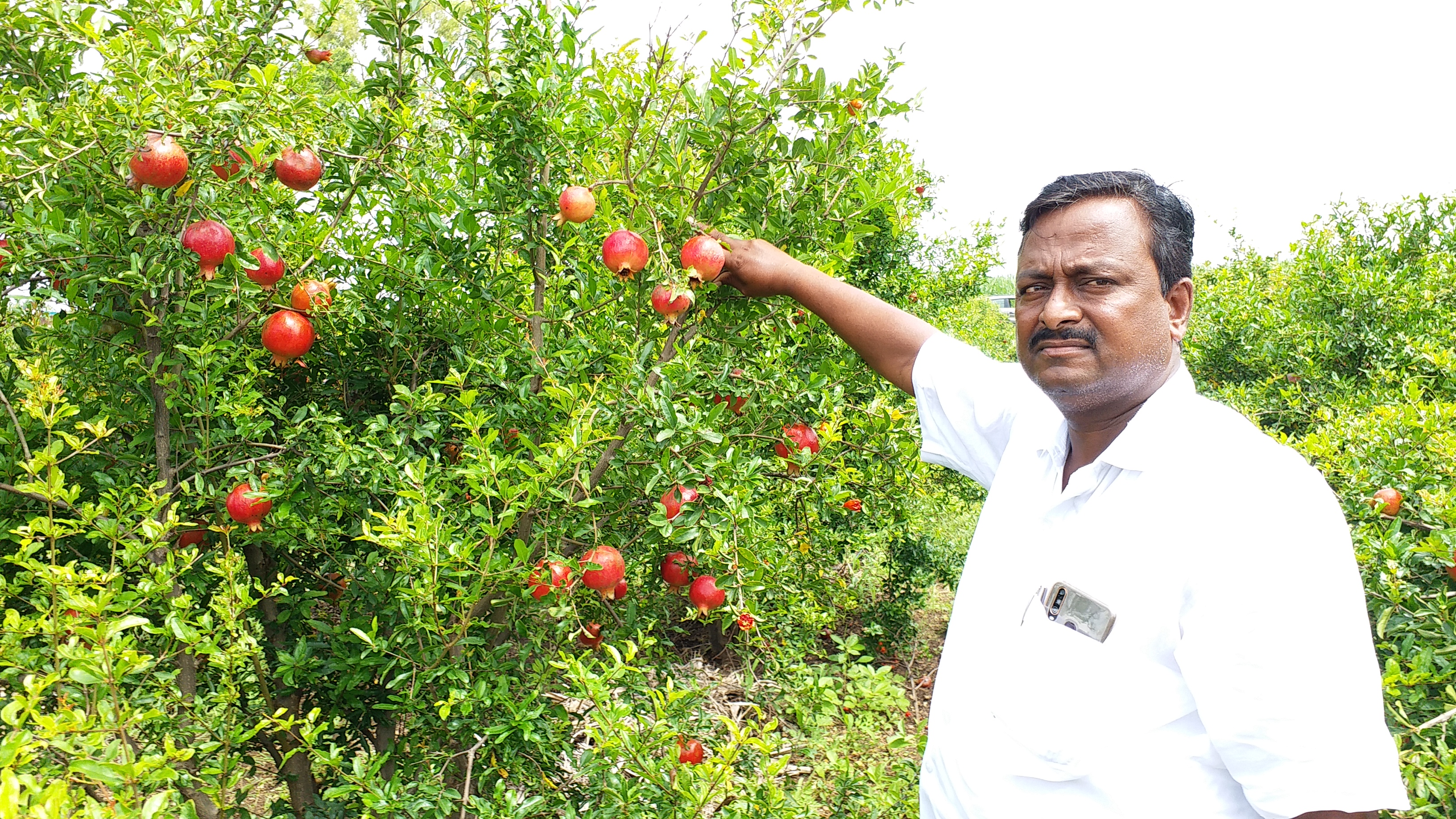 lockdown effect on farmers