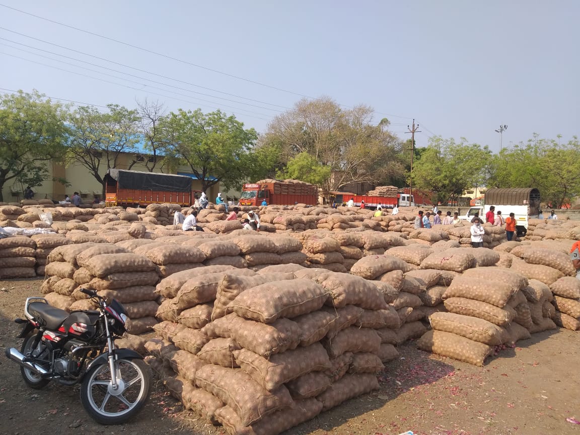 बाजारात 500 ट्रक कांद्यांची आवक; 800 ते हजार रूपये प्रतिक्विंटल भाव