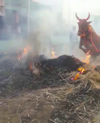 Farmers Unique Diwali