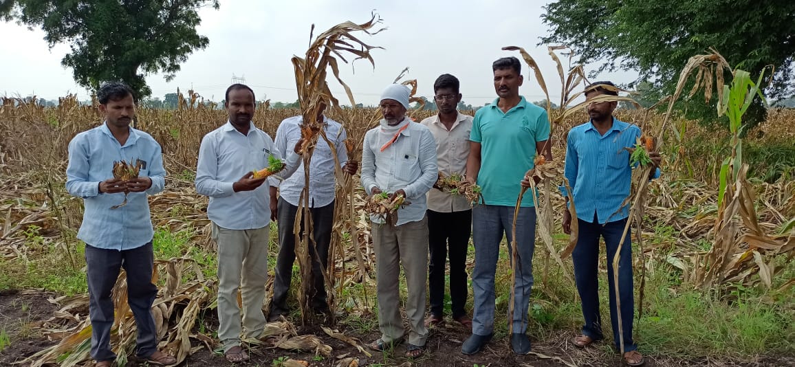 सरसगट पंचनामे करण्याची मागणी