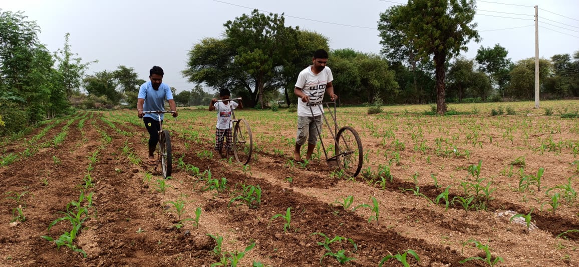 येवल्यात सायकलद्वारे शेतात कोळपणी