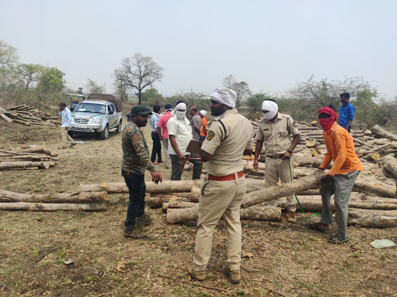 millions of Teak wood have been storedIn the lockdown time