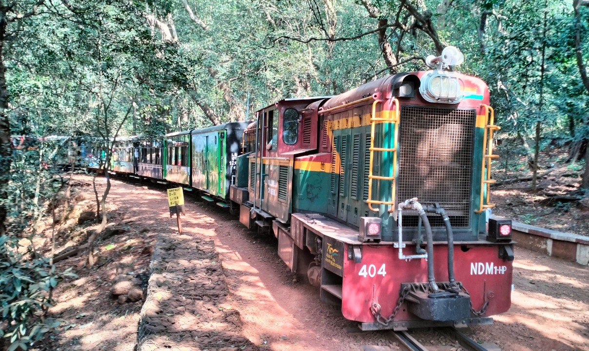 Passenger Response to Matheran Toy Train