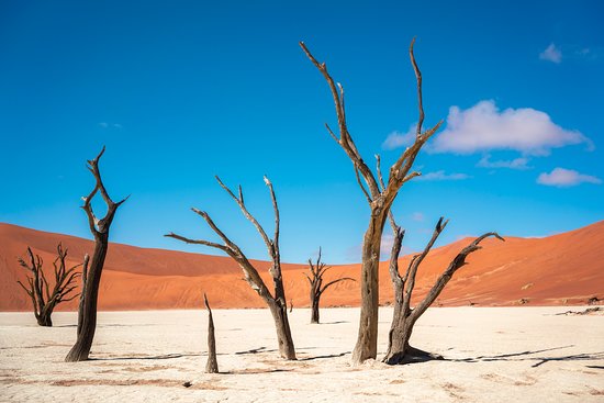 Unknown facts about Deadvlei, Deadvlei,   Beautiful Yet Dead Forest,World’s Highest Sand Dunes, ମନୋରମ କିନ୍ତୁ ମୃତ ଜଙ୍ଗଲ, ଡେଡ୍‌ ଭ୍ଲେଇ, ନାମିବିଆର ନାମିବ-ନଉକଲପ୍ଟ ପାର୍କ,  Unknown facts, ଅଜଣା କଥା