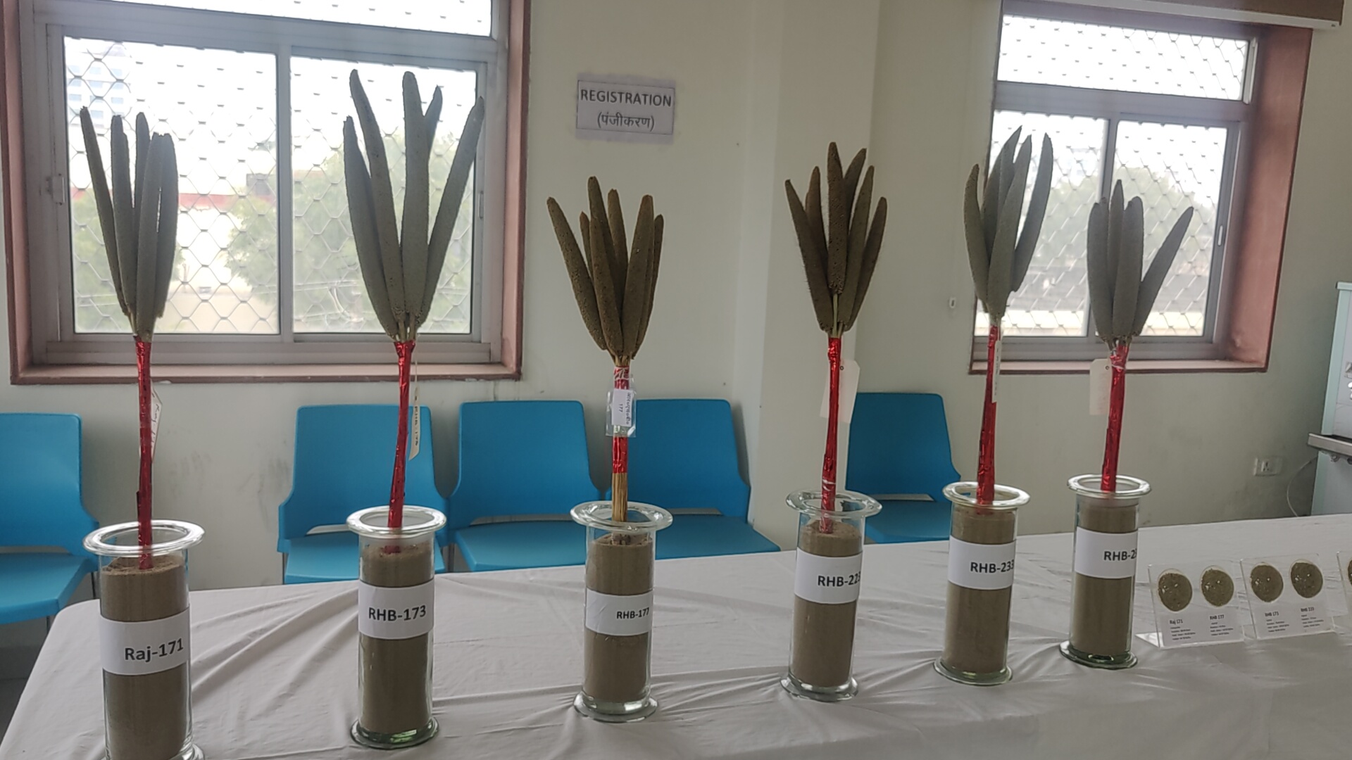 Rajasthan Millet Program