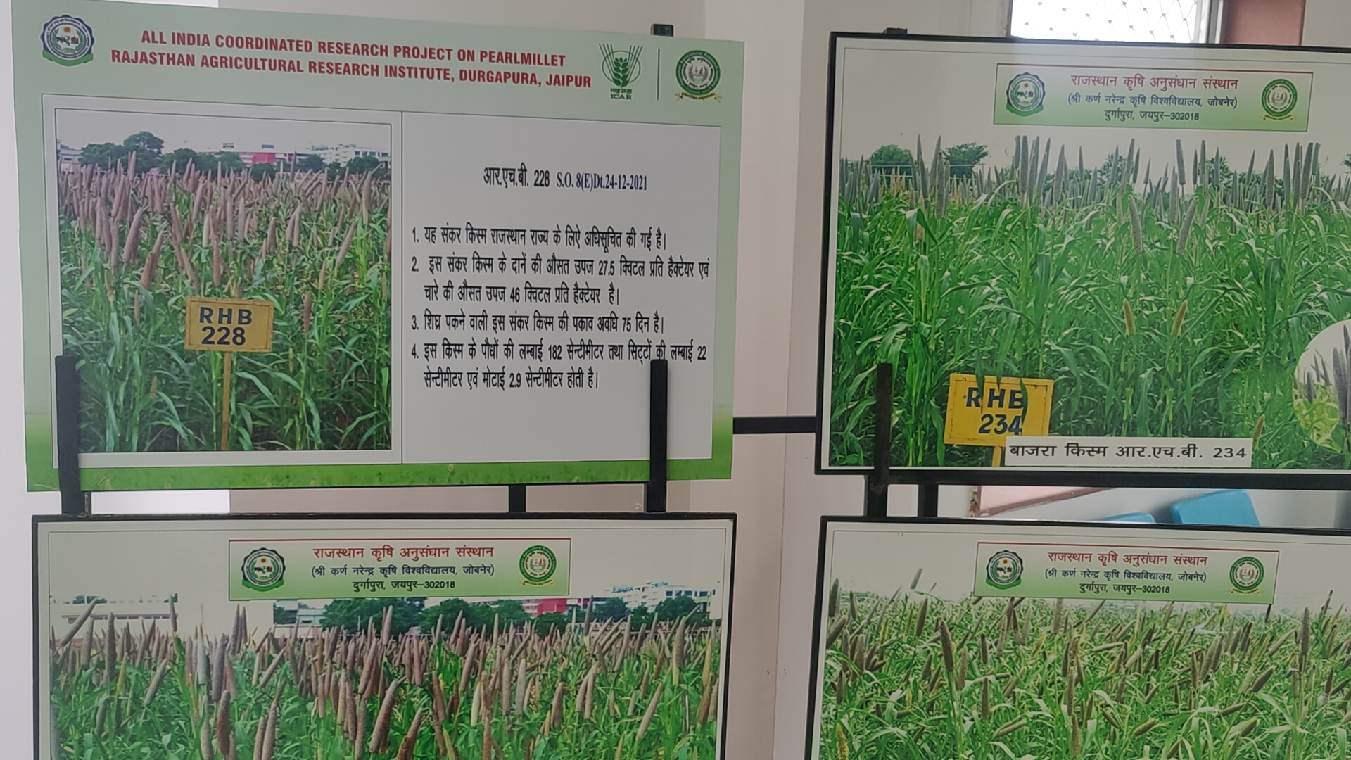 Rajasthan Millet Program