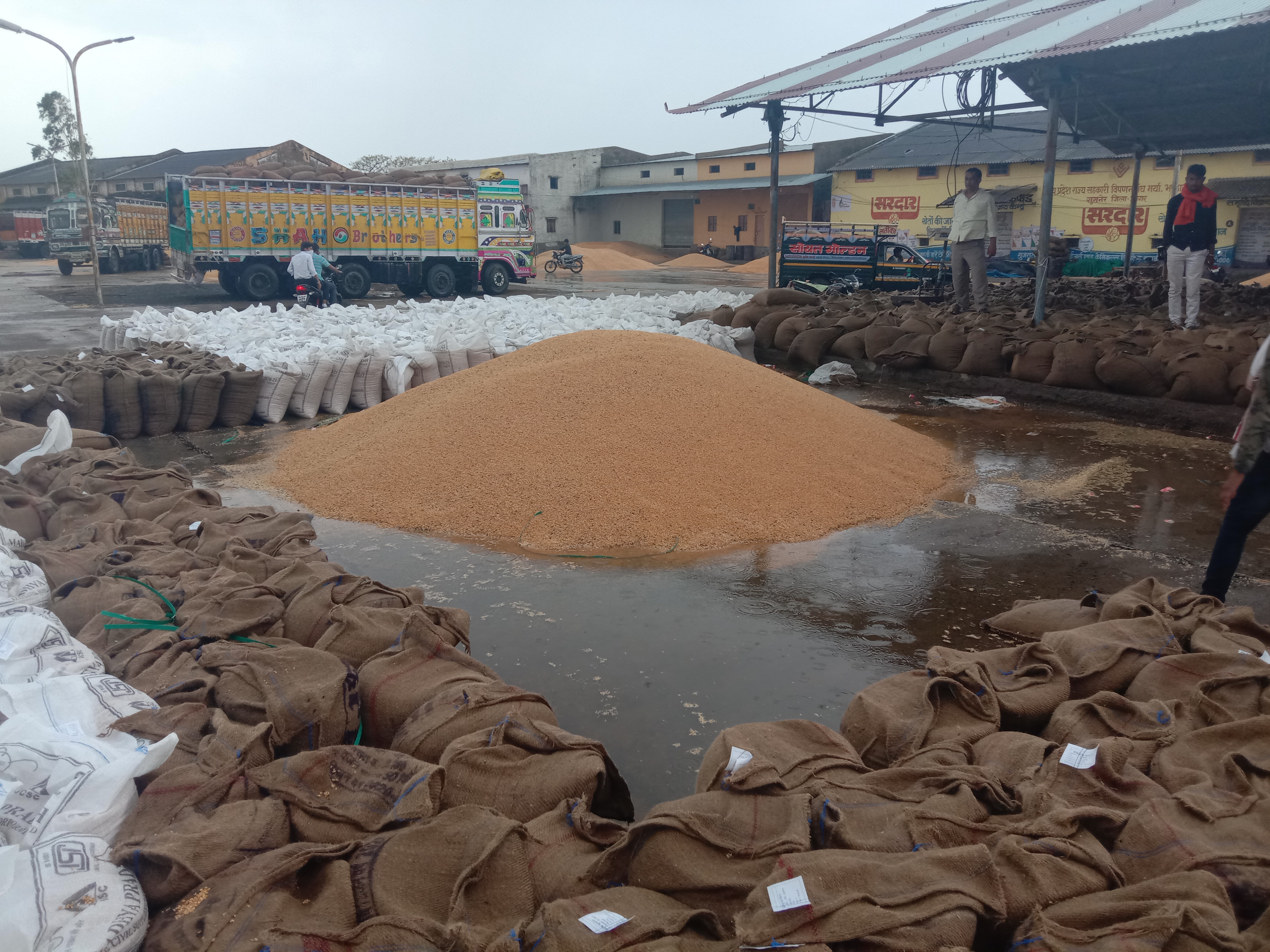 If the wheat is damaged due to wetting, then the administration may have to bear the loss of 1 crore