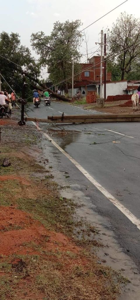 Trees and poles fell from strong storm and storm