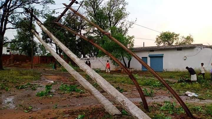 Trees and poles fell from strong storm and storm