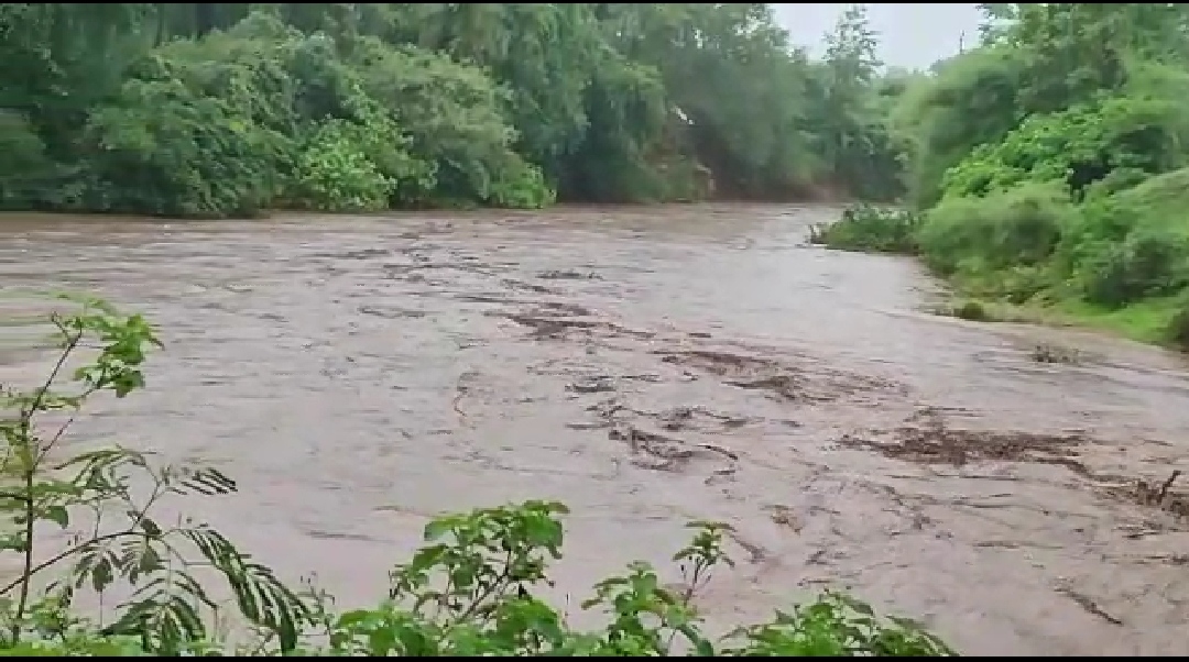 Heavy rain in many districts of MP