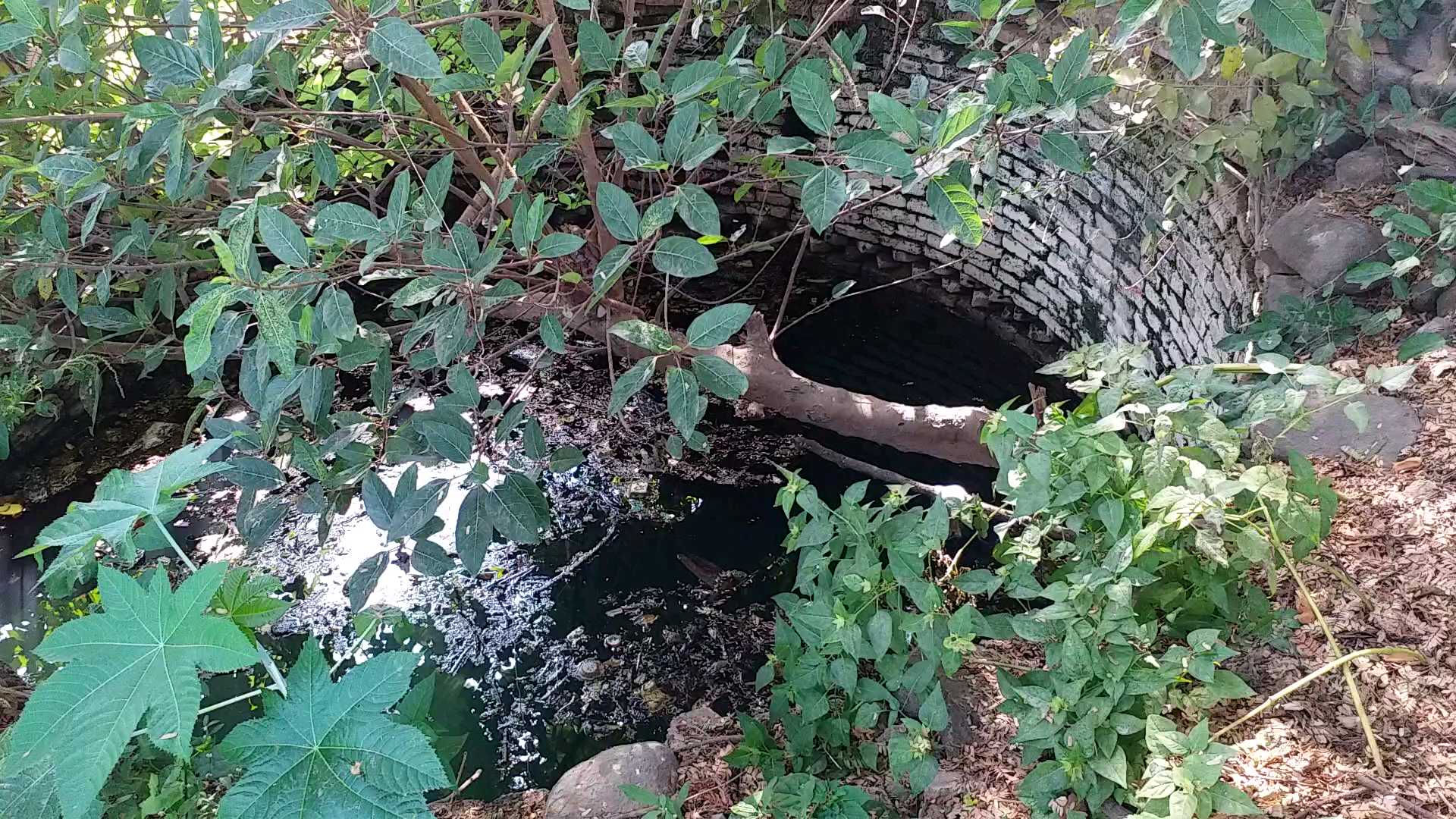 man died in this step well