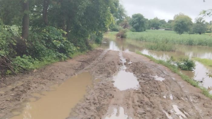 School children cross dangerous drains