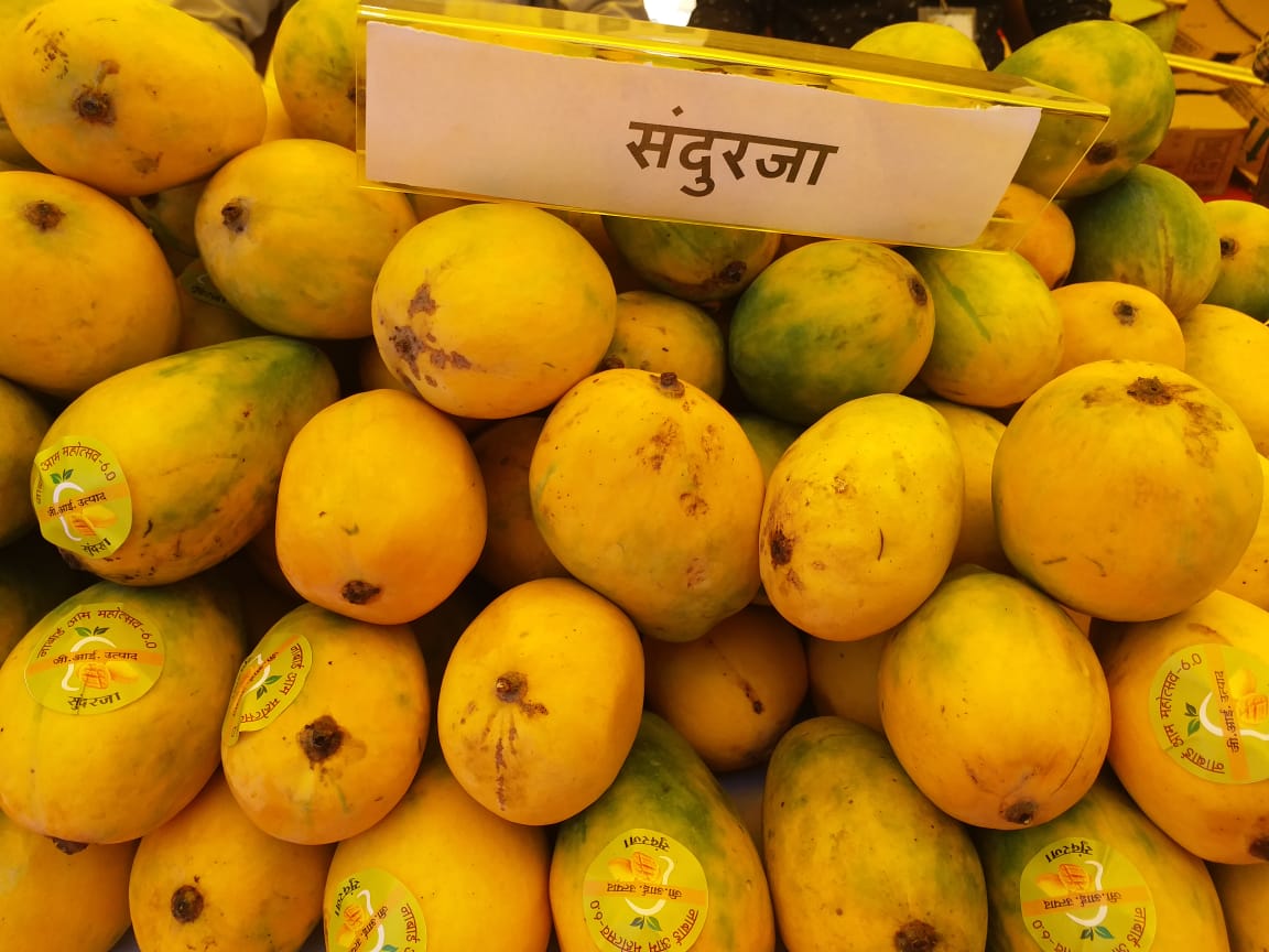 Sundarja mangoes