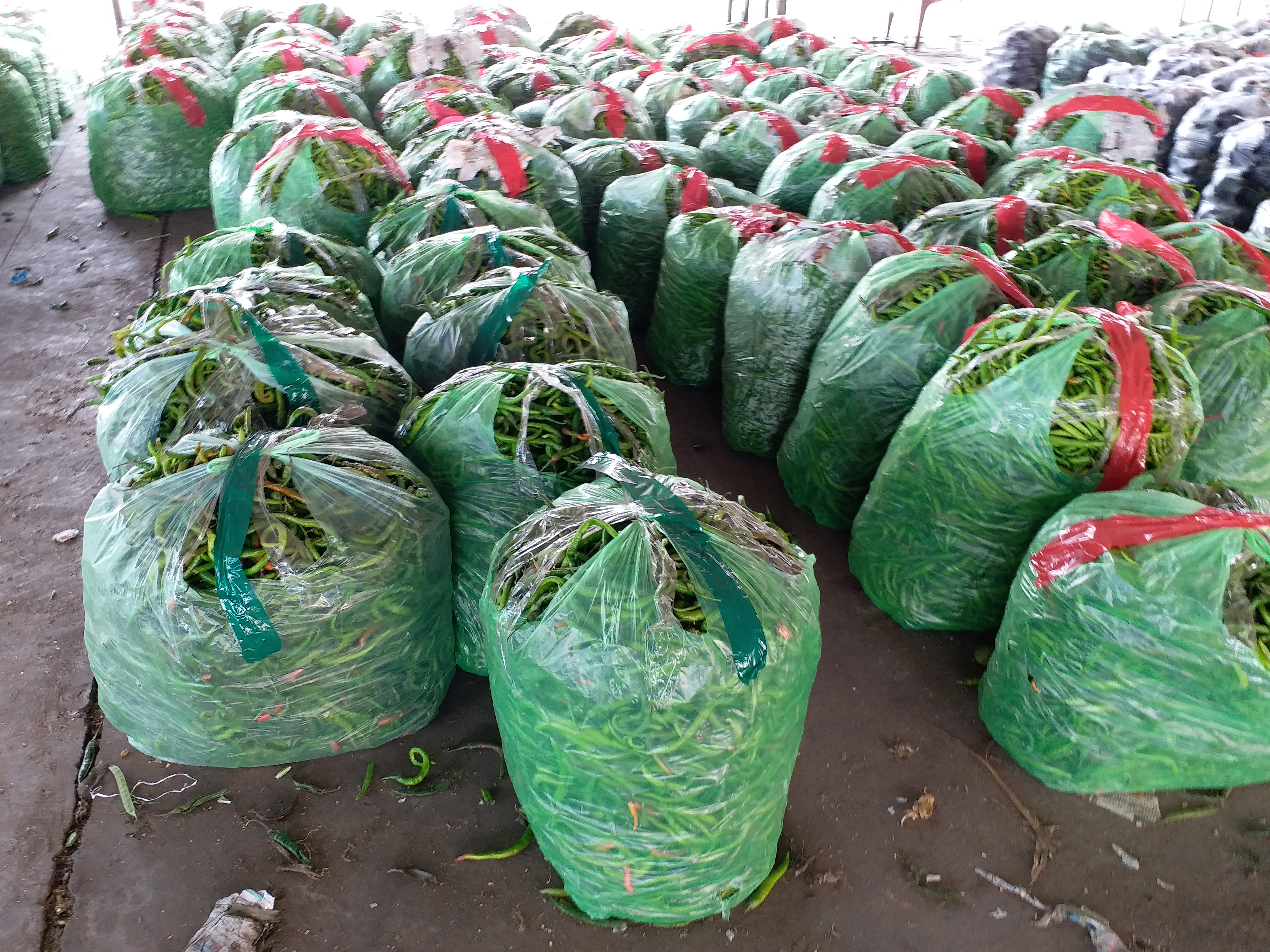 Karond Vegetable Market