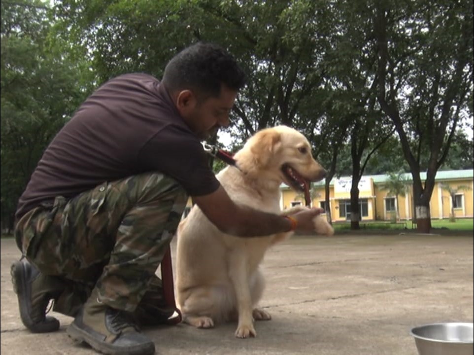 MP police will buy different breed of dogs